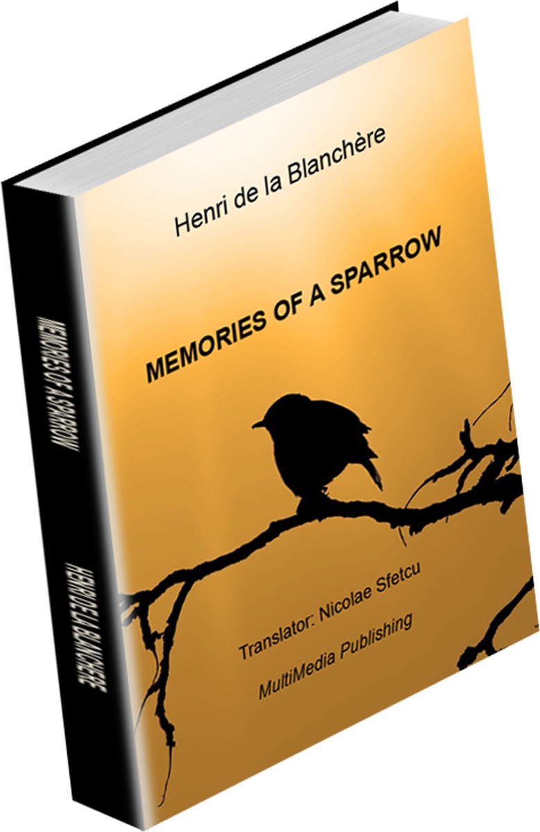 Memories of a Sparrow