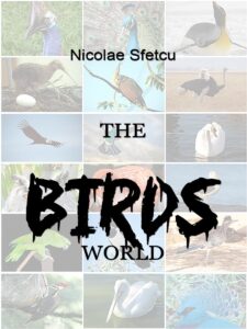 The Birds World