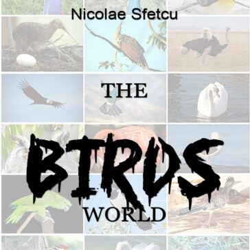 The Birds World