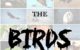 The Birds World